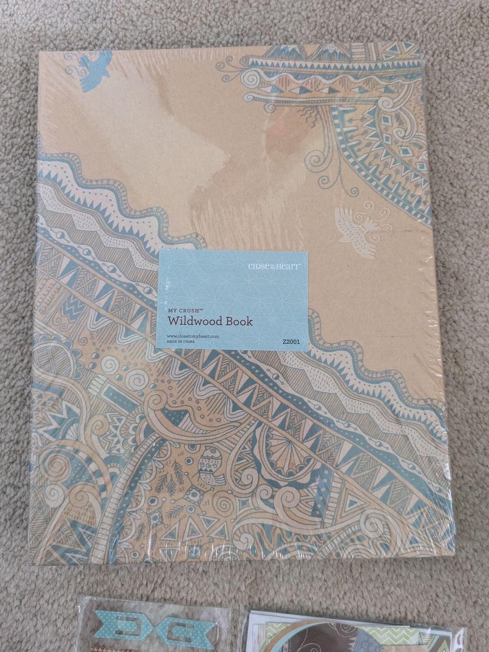 Wildwood Book - Blue and Tan Patterned Party Scrapbook
